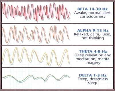 brain_waves